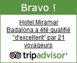 Trip Advisor